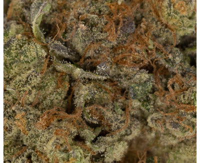 FREEDOM CANNABIS BIRTHDAY CAKE (IND) DRIED - 1G