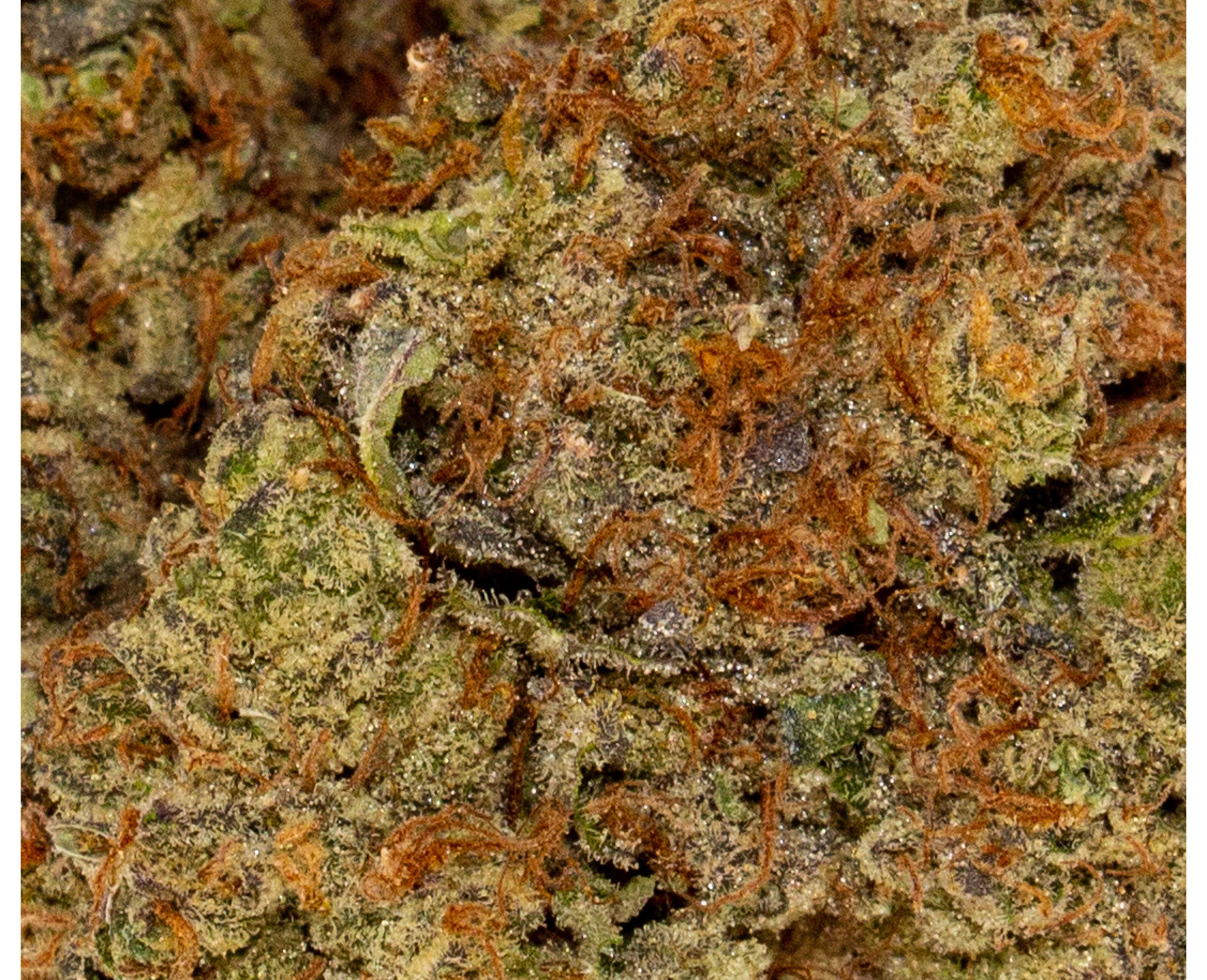 FREEDOM CANNABIS BIRTHDAY CAKE (IND) DRIED - 3.5G