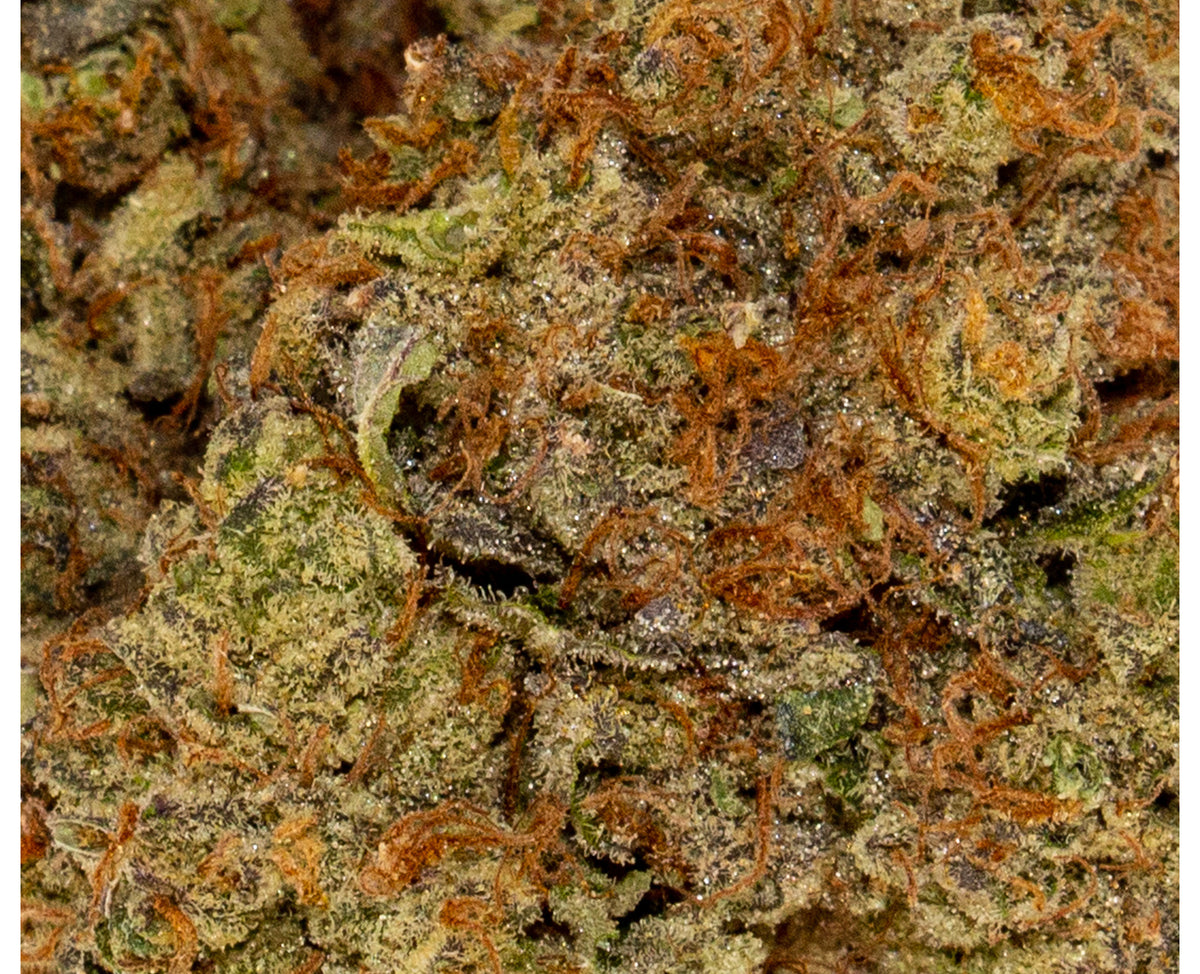 FREEDOM CANNABIS BIRTHDAY CAKE (IND) DRIED - 3.5G