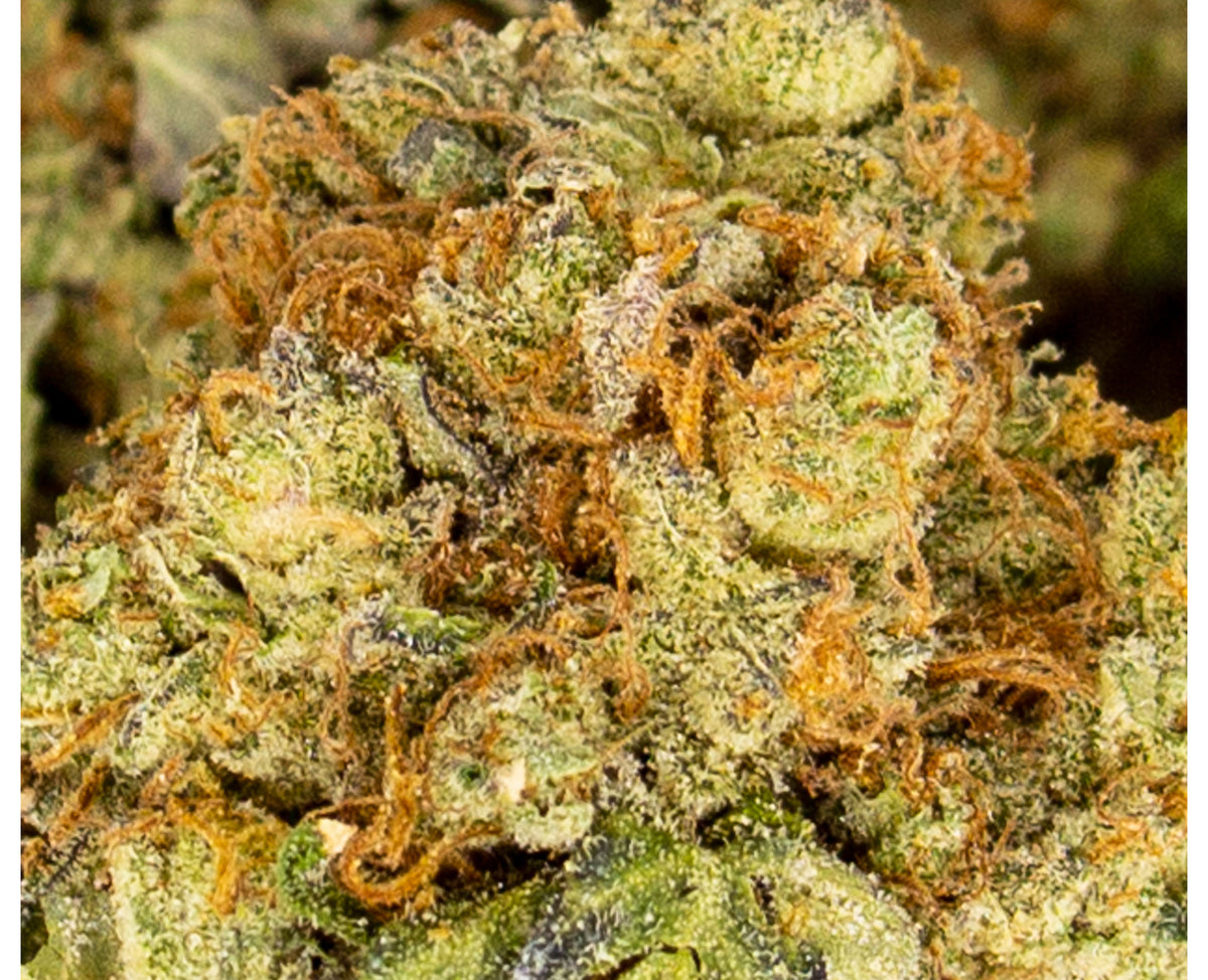 FREEDOM CANNABIS BIRTHDAY CAKE (IND) DRIED - 28G