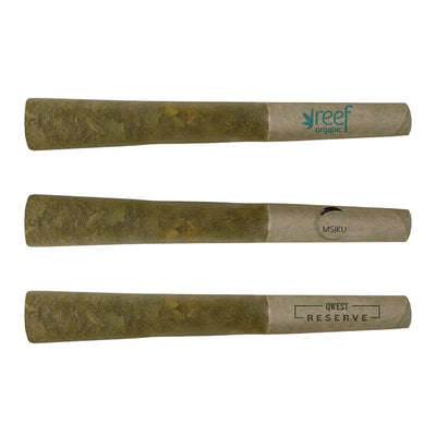 AHLOT COAST TO COAST (H) PRE-ROLL - 0.5G X 3