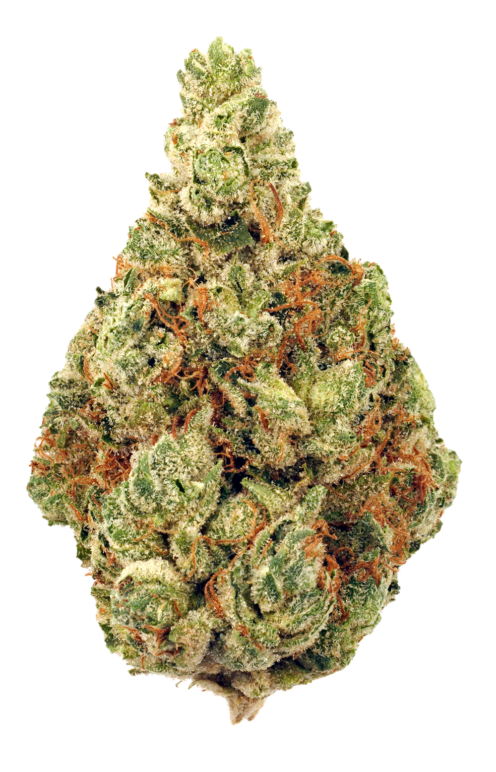 HIGHLAND GROW CHERRY BURST (H) DRIED - 14G