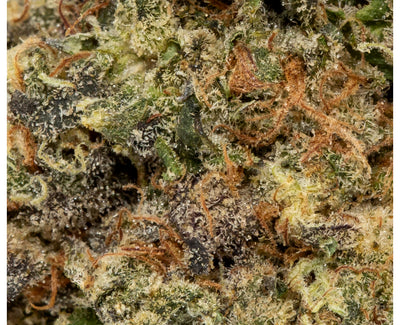 HIGHLAND GROW GAS TANK (IND) DRIED - 3.5G