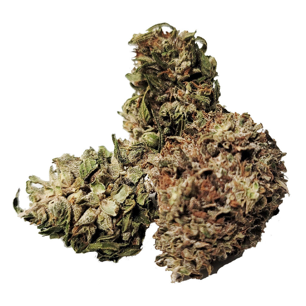 GROWTOWN PANAKEIA (H) PRE-ROLL - 0.5G X 7