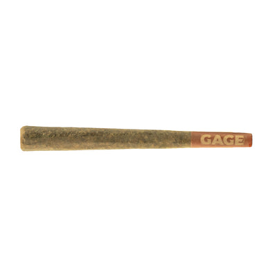 GAGE CANNABIS CO BANANA BREAD (H) PRE-ROLL - 1GX1