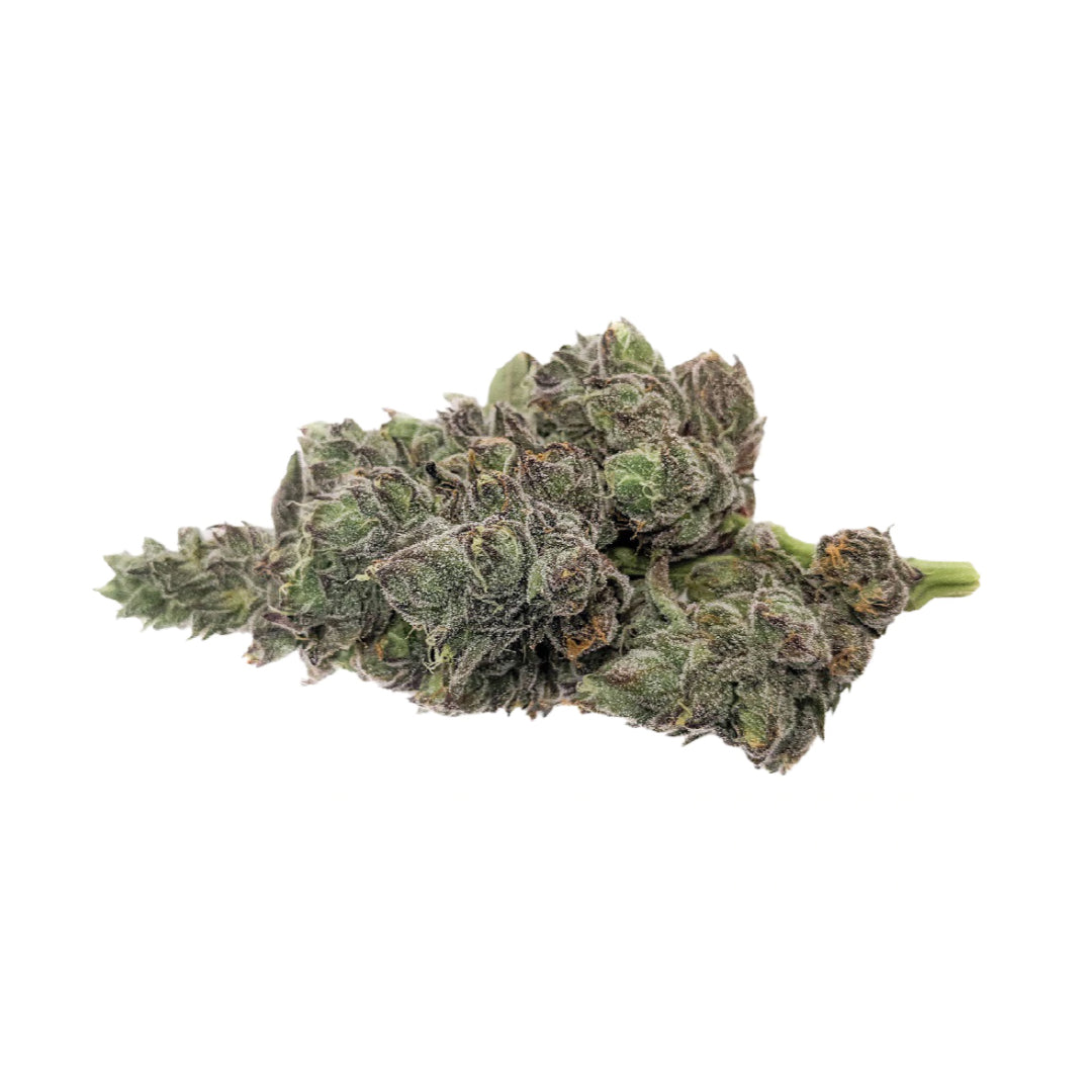 MSIKU GELATTO 33 X TROPICANA COOKIES (IND) DRIED - 3.5G