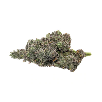 MSIKU GELATTO 33 X TROPICANA COOKIES (IND) DRIED - 3.5G