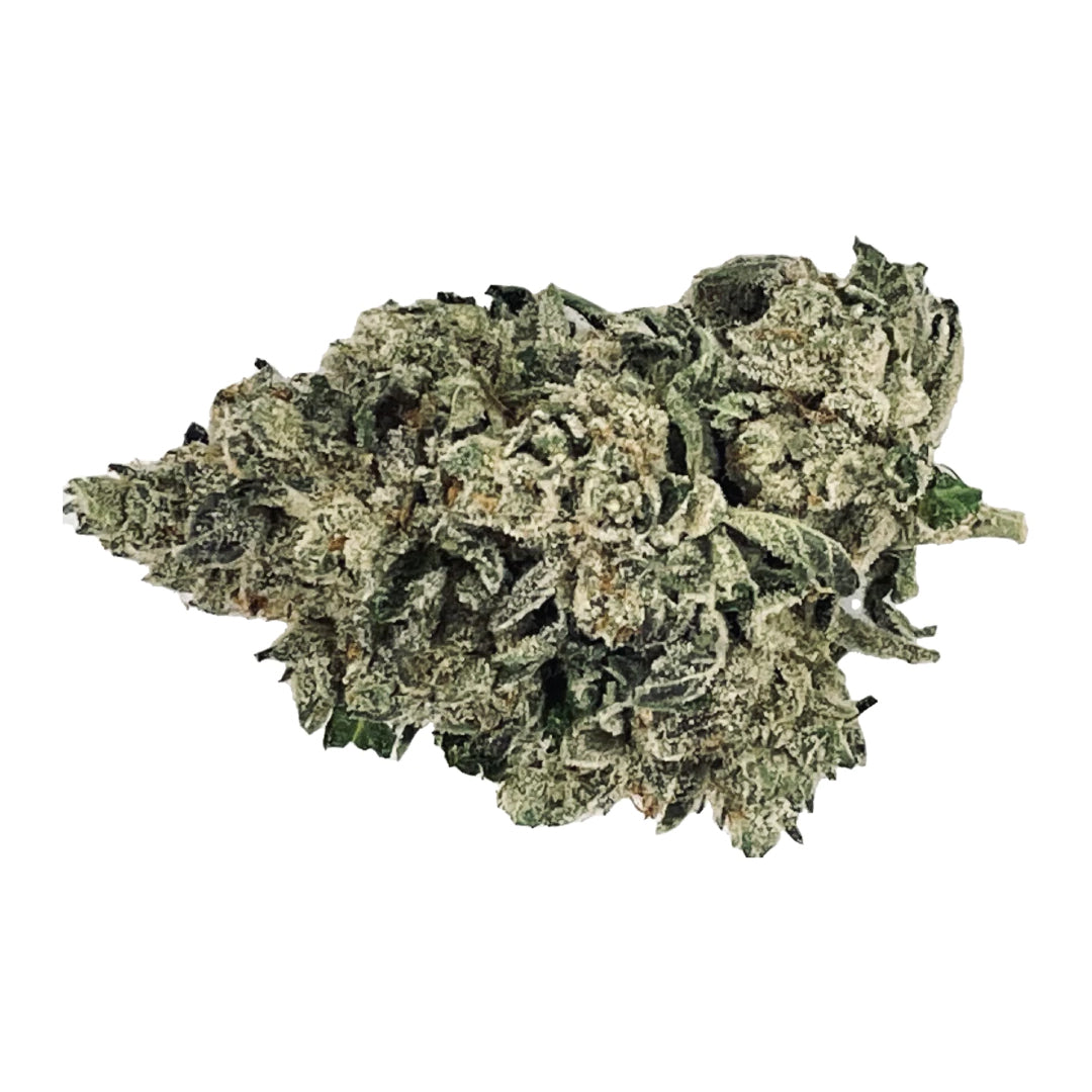 BC GREEN WATERMELON GUSHERS (H) DRIED - 3.5G