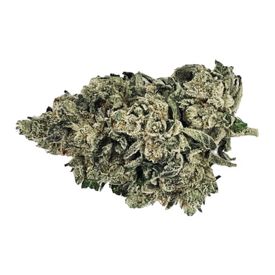 BC GREEN WATERMELON GUSHERS (H) DRIED - 3.5G