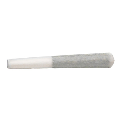 BOLD ROOT BEER FLOAT (IND) PRE-ROLL - 0.5G X 3
