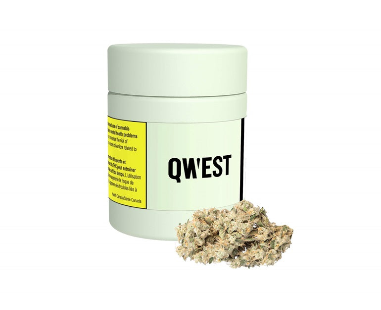 QWEST BANANA OG (H) DRIED - 7G
