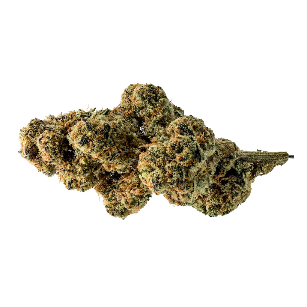 BLACKROSE GAS STATION JMO (H) DRIED - 3.5G