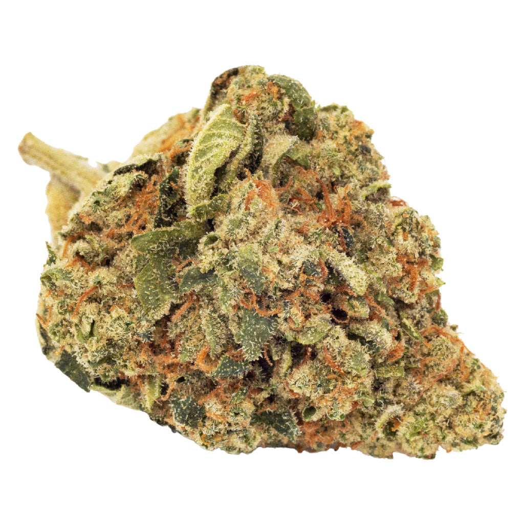 FIGR GO STEADY SUNSHINE BUBBLE KUSH (H) DRIED - 3.5G