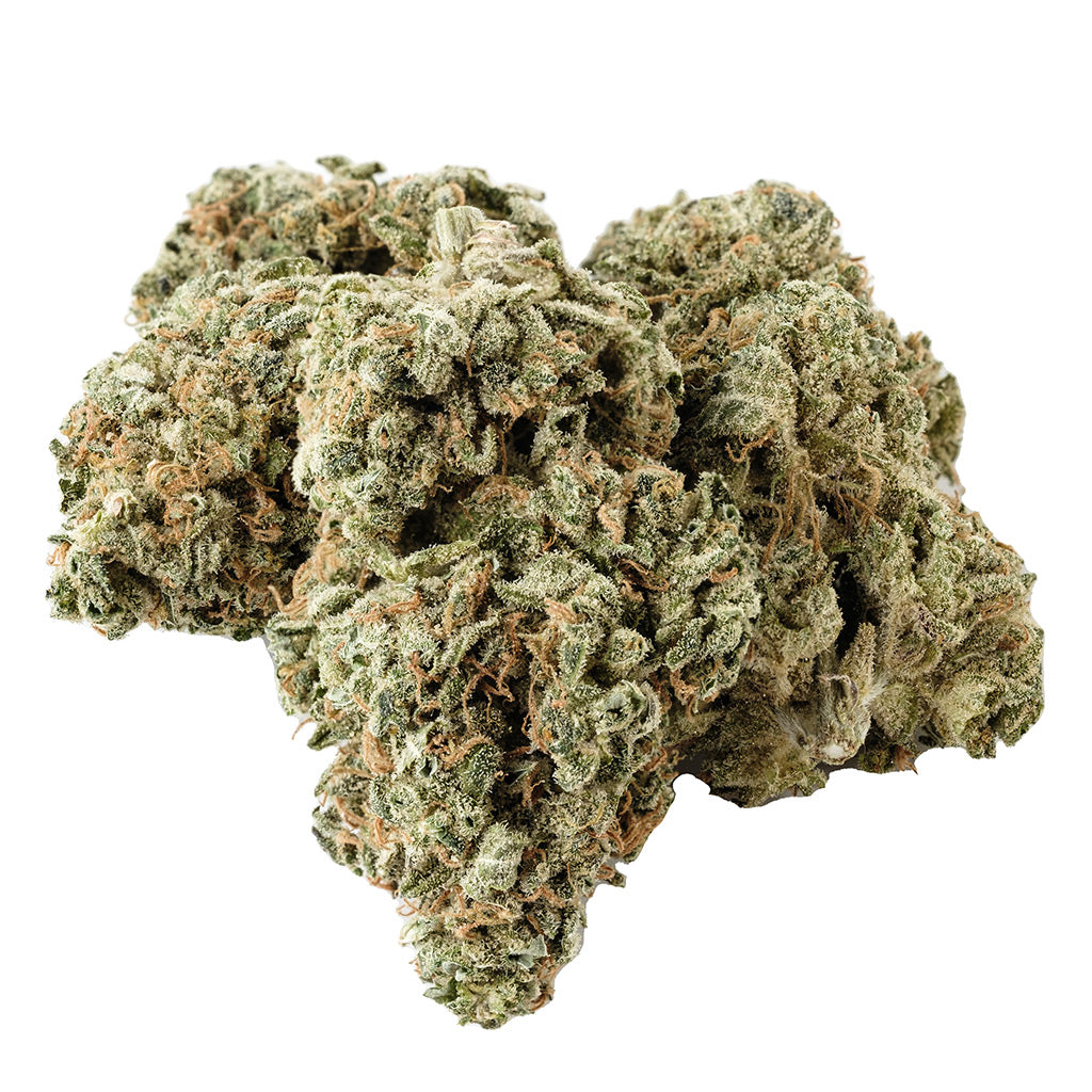 KOLAB PROJECT X SAFARI DARK SHADOW HAZE (S) DRIED - 3.5G