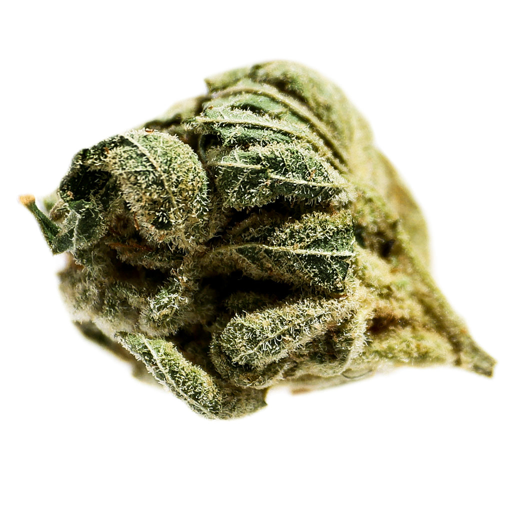 POTLUCK PINEAPPLE EXPRESS (S) DRIED - 7G