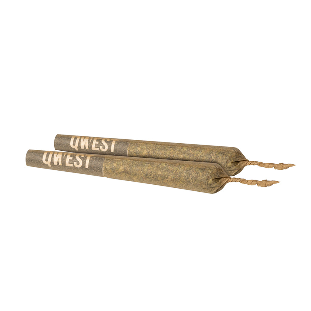 QWEST BLUEBERRY SYRUP (H) PRE-ROLL - 0.5GX2