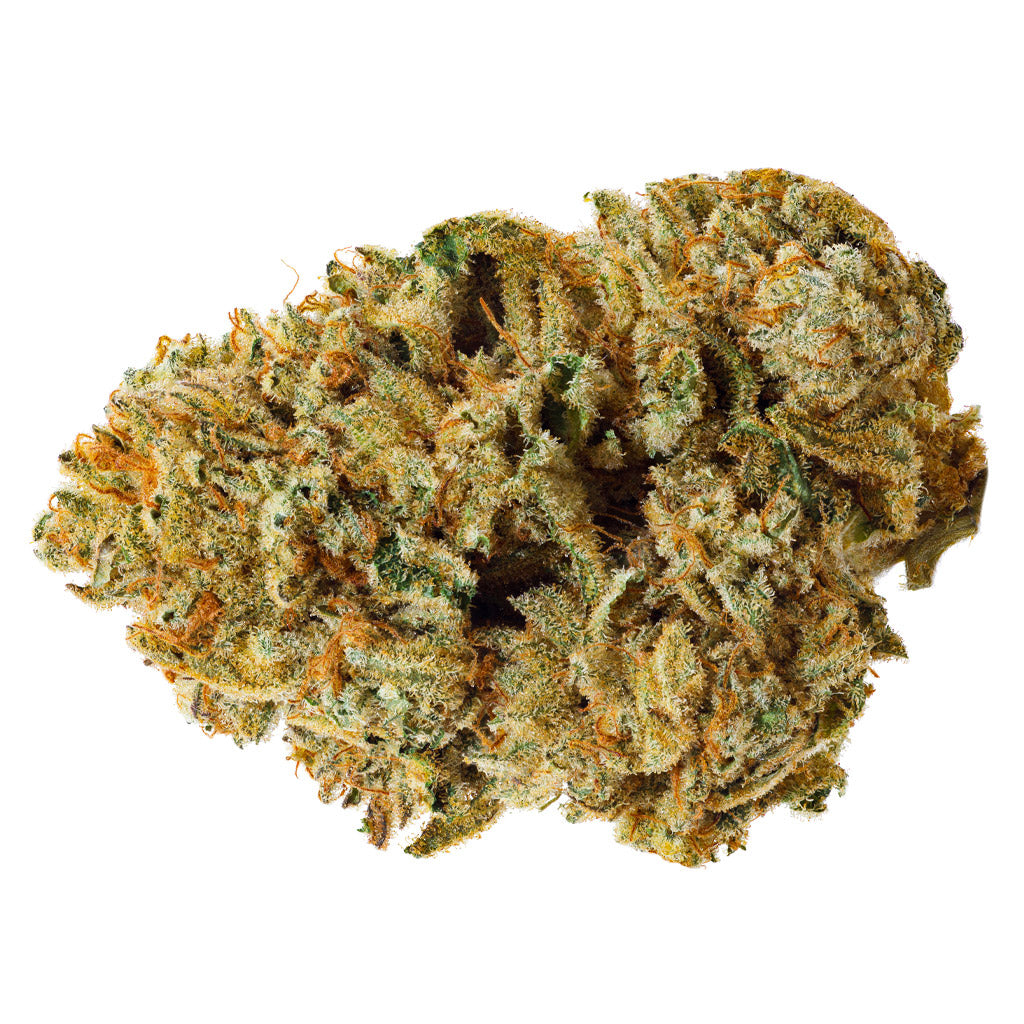 DRIFT ALIEN CAKE 3030 (S) DRIED FLOWER - 3.5G