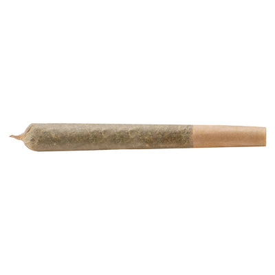 CONTRABAND BIG WILLIE LIVE RESIN (H) INF PRE-ROLL - 1GX1