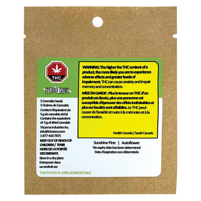 WEATHERED ISLANDS SUNSHINE PINE (AUTO) (H) SEED - 5PK