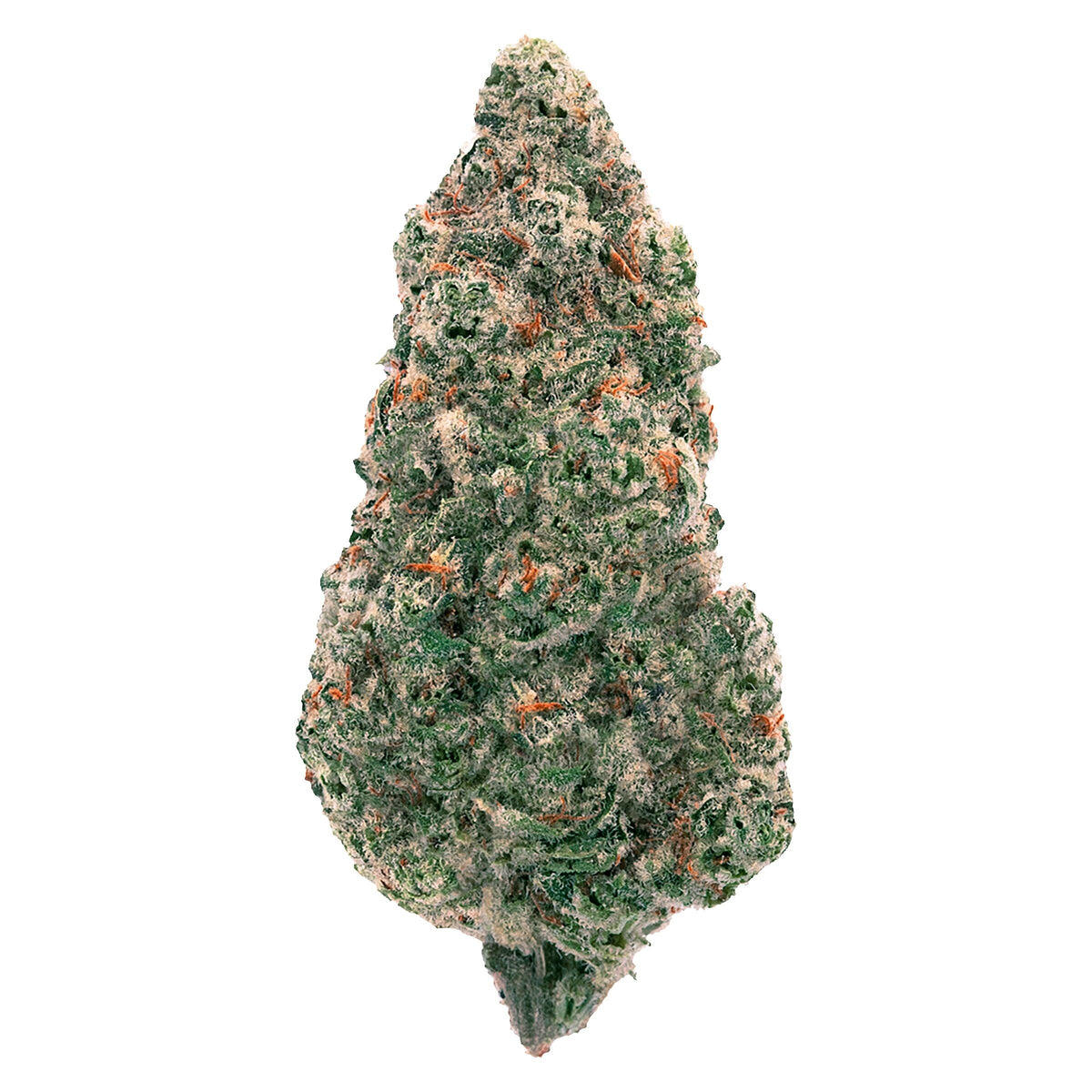 BACK FORTY MANDARIN COOKIES (S) DRIED - 3.5G