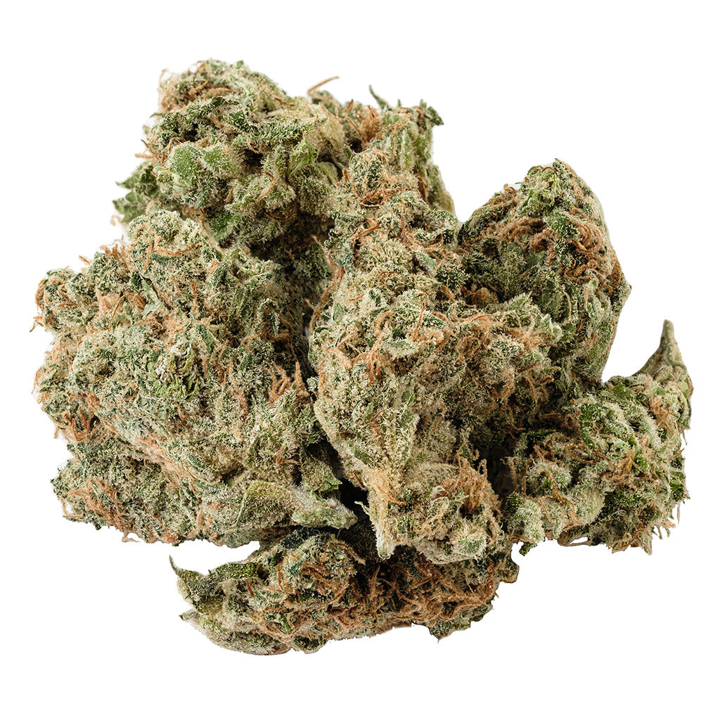 KOLAB PROJECT LOTUS TRANQUIL ELEPHANTIZER (IND) DRIED - 3.5G