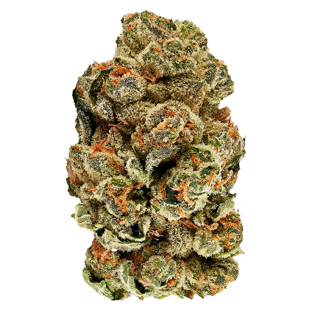 3SAINTS KUSH COOKIES (IND) DRIED - 1G