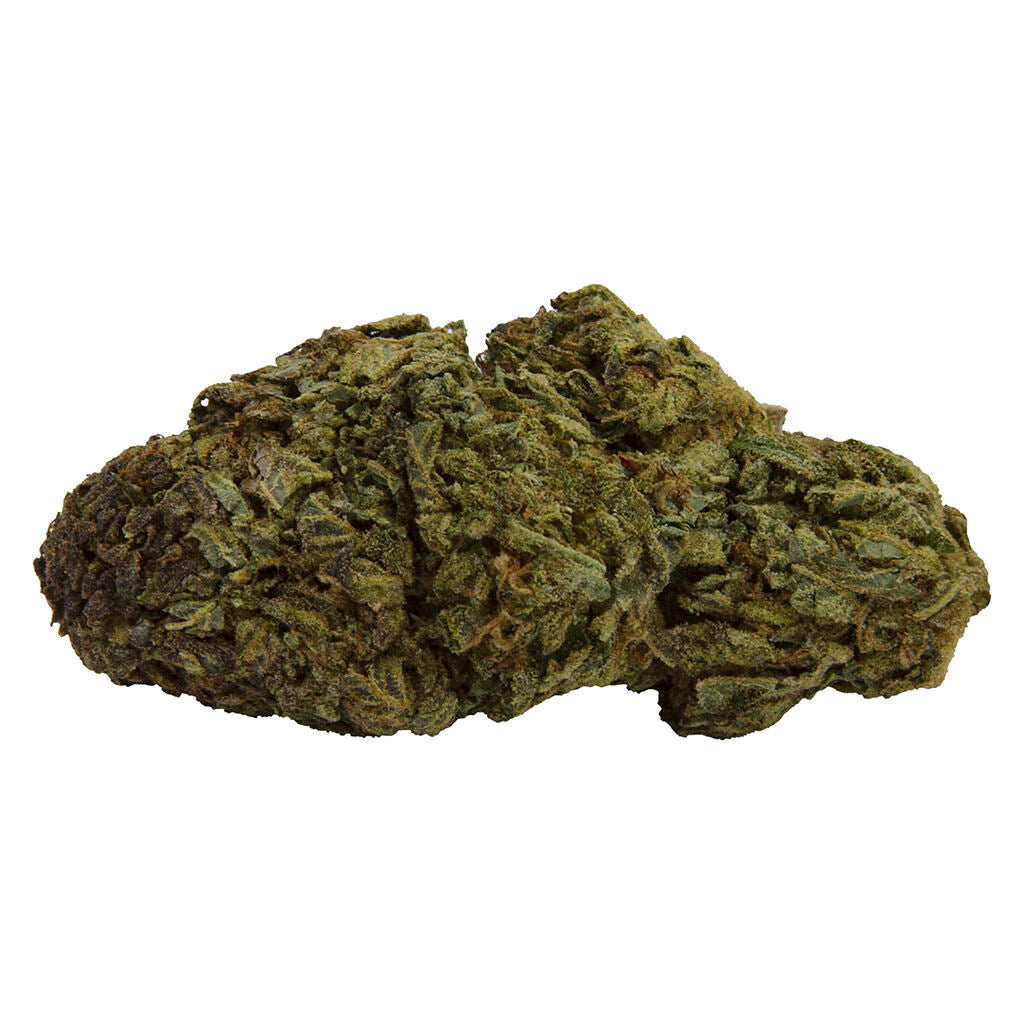 COMMON GROUND LARRY THE PURPLE ALIEN (IND) 510 - 1G