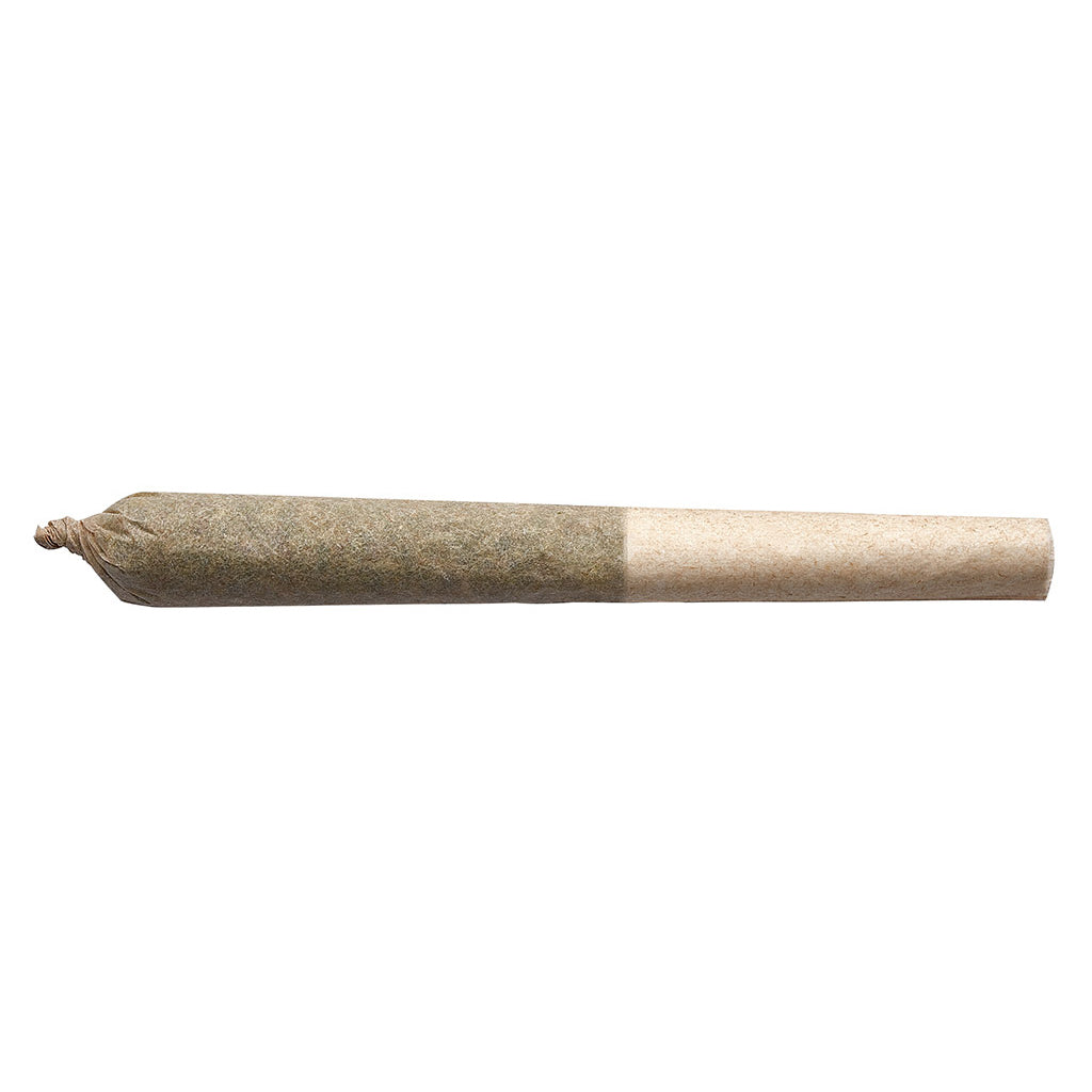 HALCYON GARLIC Z (IND) PRE-ROLL - 0.5G X 1