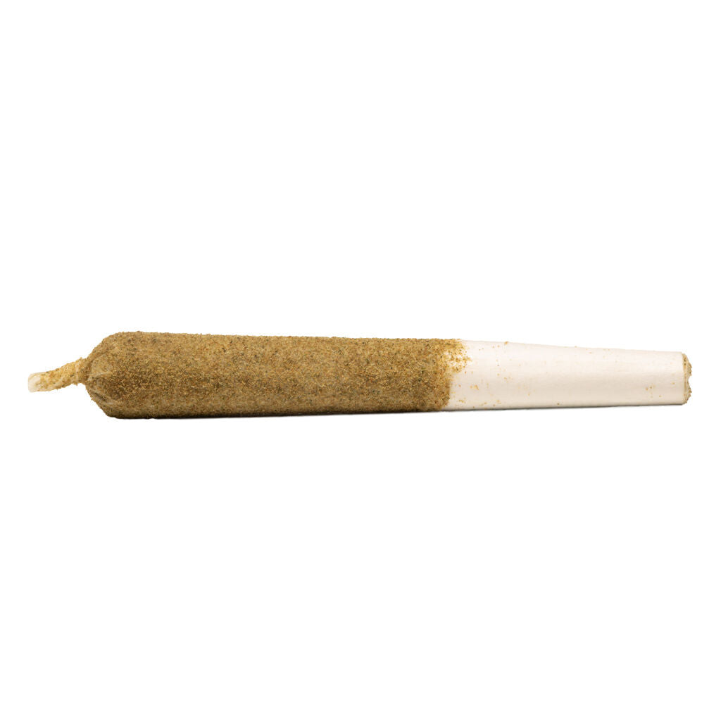 GENERAL ADMISSION PEACH RINGZ (S) INF PRE-ROLL - 0.5GX3