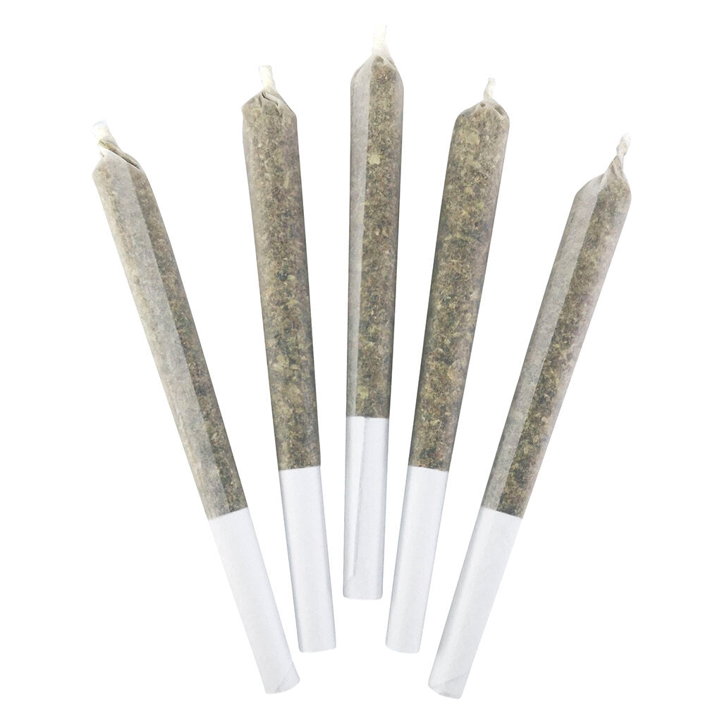 BC BLACK KRAZY KRYSTAL BISCOTTI CAKE (IND) DRIED - 3.5G