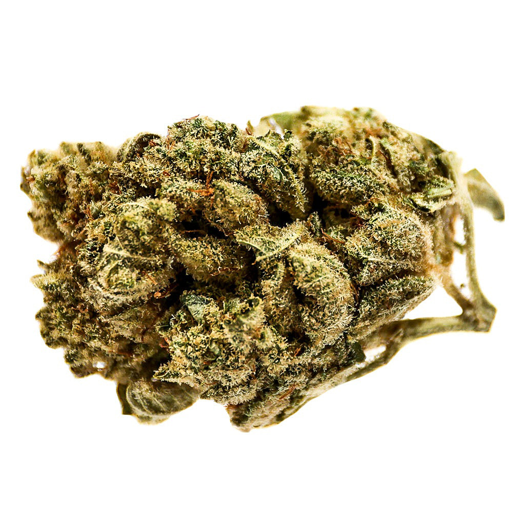 STATION HOUSE BLUE DREAM (S) DRIED - 3.5G
