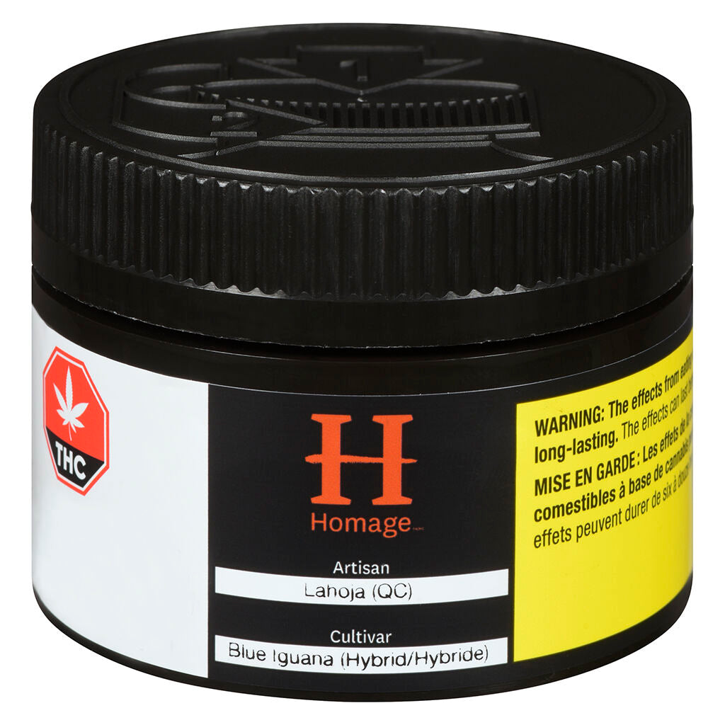 HOMAGE BLUE IGUANA (H) DRIED - 3.5G