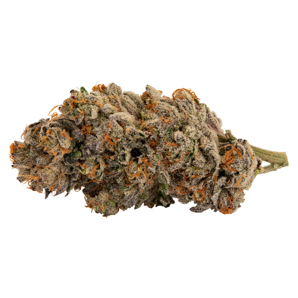 BLLRDR TIGER CAKE (H) DRIED - 14G