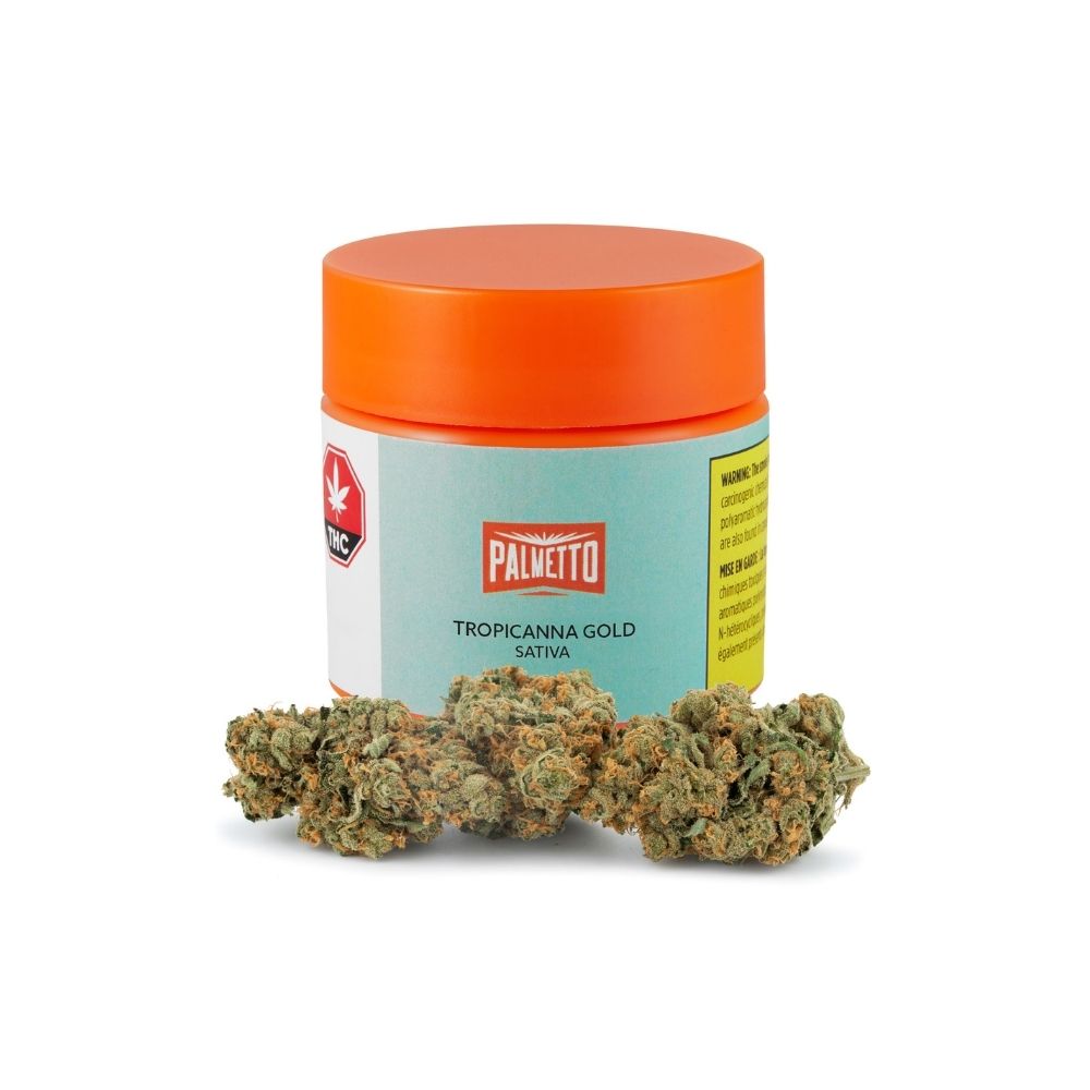 PALMETTO TROPICANNA GOLD (S) DRIED - 3.5G