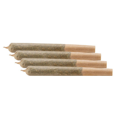 CITIZEN STASH DISCOVERY PACK (H) PRE-ROLL - 0.5G X 4