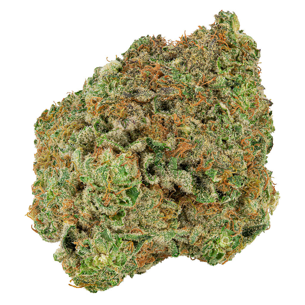 BIG BAG O BUDS DOUGH LATO (IND) DRIED - 28G