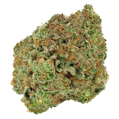 BIG BAG O BUDS DOUGH LATO (IND) DRIED - 28G