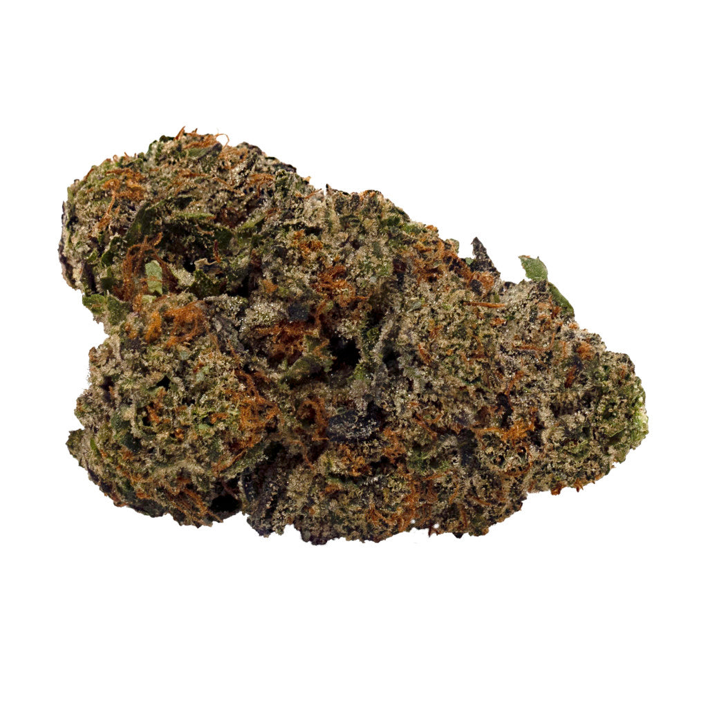 DOJA FRESH BISCOTTI (H) DRIED - 3.5G