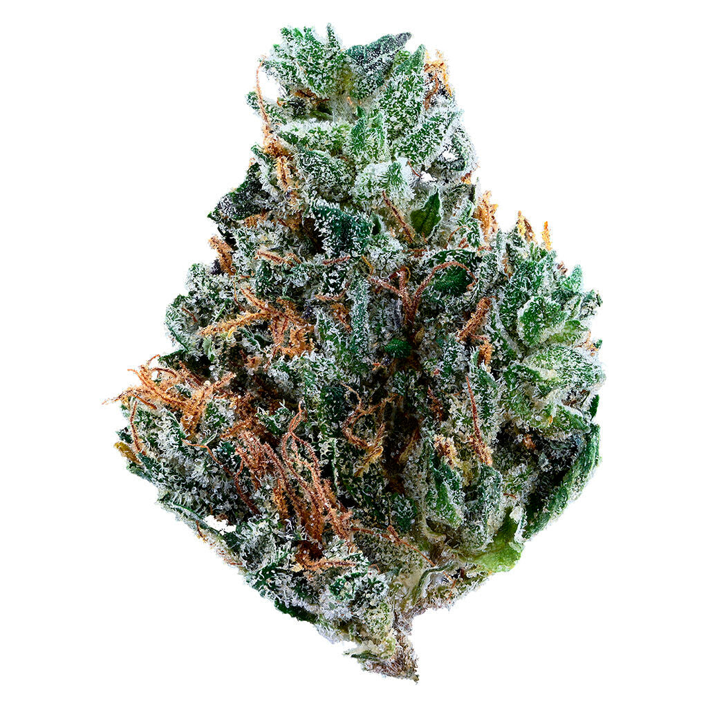REDECAN MINT CHIP GELATO (H) DRIED - 3.5G