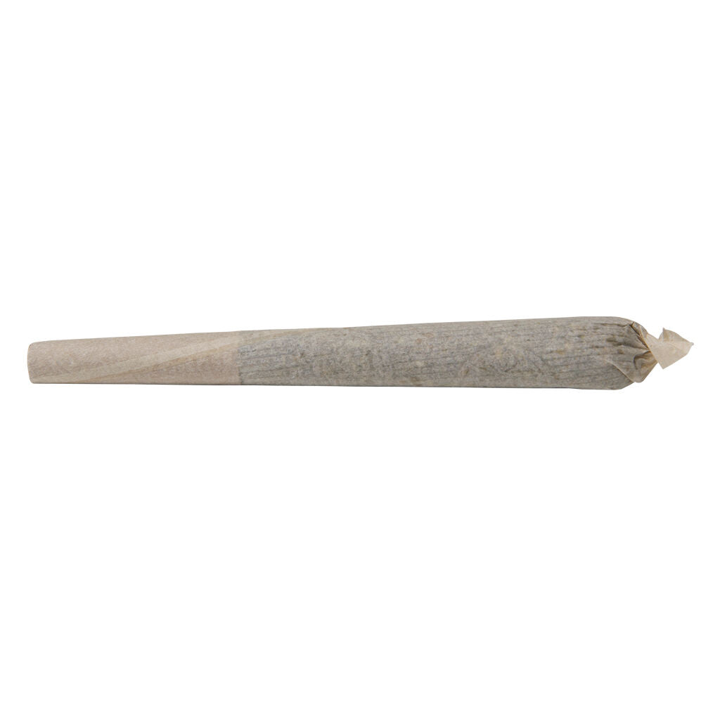 WHOLEHEMP PREMIUM CBD (H) PRE-ROLL - 0.7G X 10