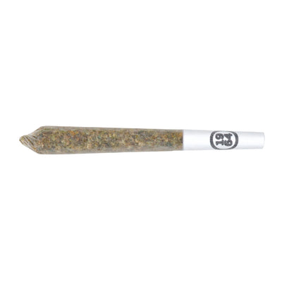 1964 HEAVY HITTER LEBANESE HASH (IND) INF PRE-ROLL - 1GX1
