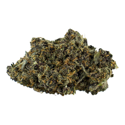 QWEST TERPEE SLERPEE (IND) DRIED - 3.5G