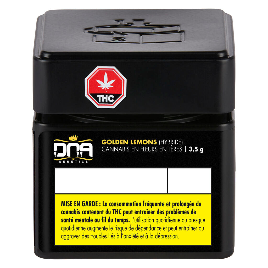 DNA GENETICS GOLDEN LEMONS (H) DRIED - 3.5G