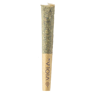 VIOLA BUCKETZ LOOSIES (S) PRE-ROLL - 0.3G X 10