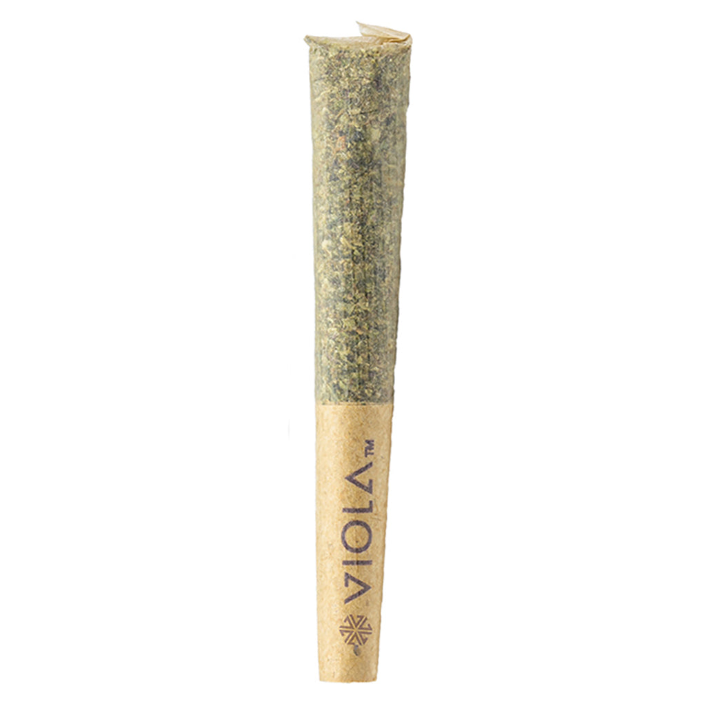 VIOLA BUCKETZ LOOSIES (S) PRE-ROLL - 0.3G X 10