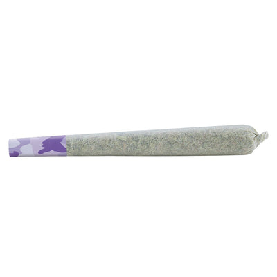 SHRED DESSERT STORM (H) PRE-ROLL - 1G X 1