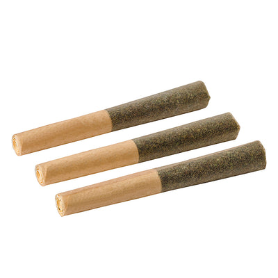 BACK FORTY KUSH MINT (IND) INF PRE-ROLL - 0.5G X 3