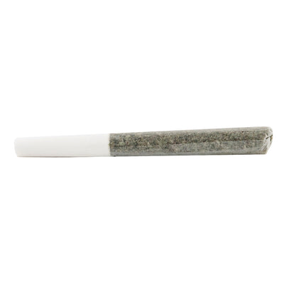 5 POINTS ASSORTED MULTI PACK (H) PRE-ROLL - 0.3G X 12