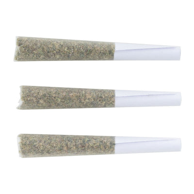 BIG BIG HITTER (H) INF PRE-ROLL - 0.5G X 3