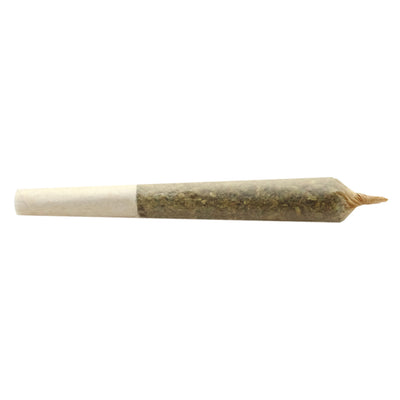BUDDY BLOOMS BIG BUDDY INDICA (IND) PRE-ROLL - 1G X 2